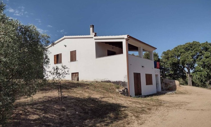 Monti House | The house of olive trees