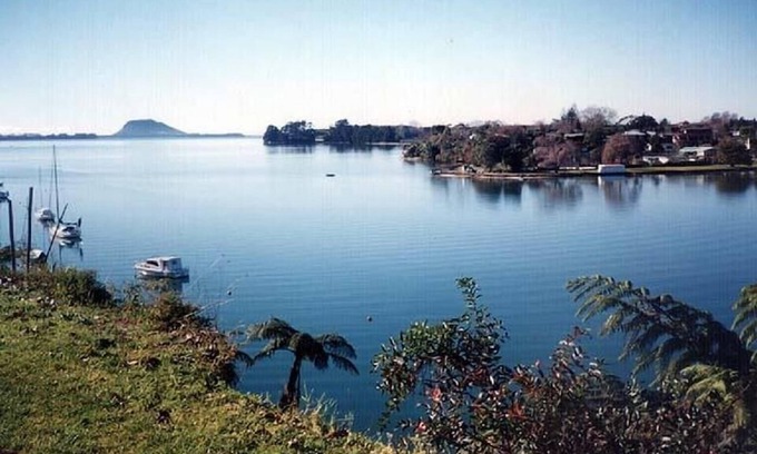 Whakamarama Cottage | The Pickled Walnut self contained cottage