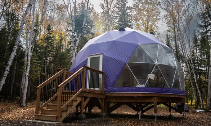 Queens County Cabin | The Purple Violet