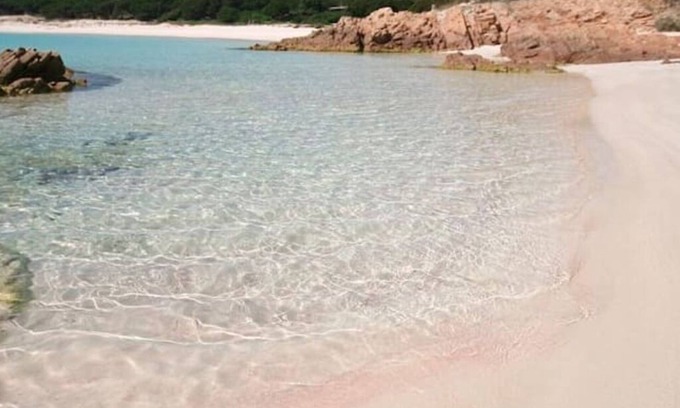 Sa Castangia Apartment | The Scola of Pirazzolu Retreat