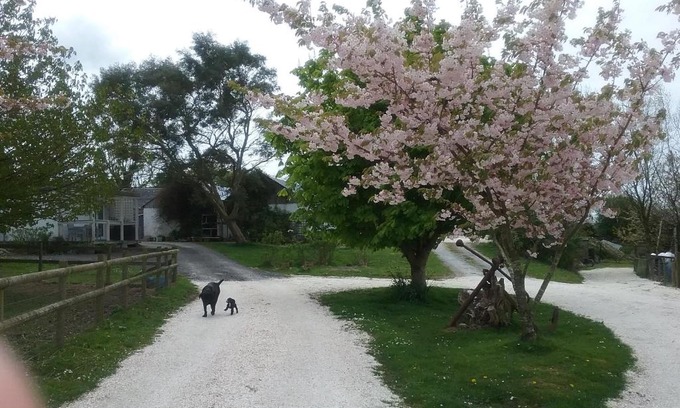 Llandysul Bed & Breakfast | The Swallows Guest House