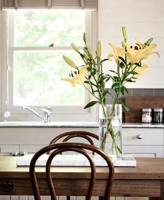 Kangaroo Valley House | The Tailor's Cottage Kangaroo Valley