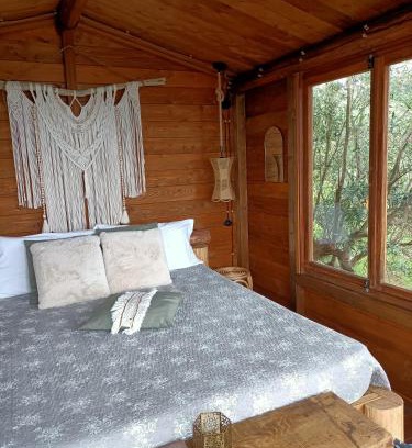 Falerna Bed & Breakfast | The Treehouse - Casa sull'albero al Golden Camp
