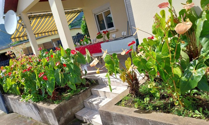 Dos d'Ane House | Ti kaz Anturium