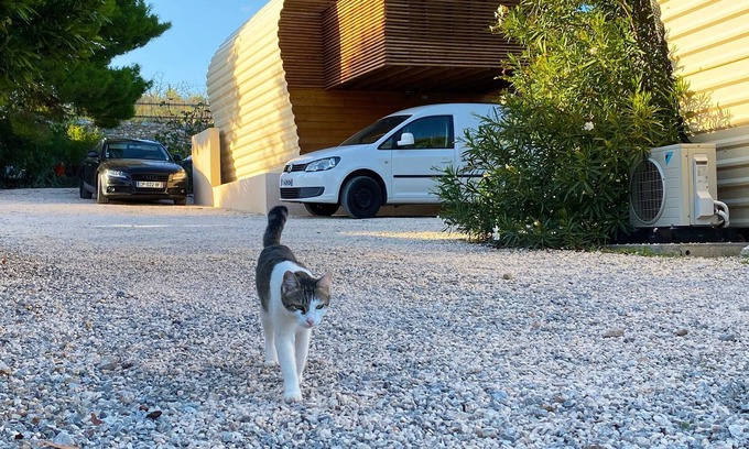 Fitou Bed & Breakfast | Tilley Lounge Zen CoCoon