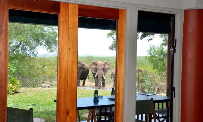 Phalaborwa Cabin | Tingala Lodge - Bed in the Bush