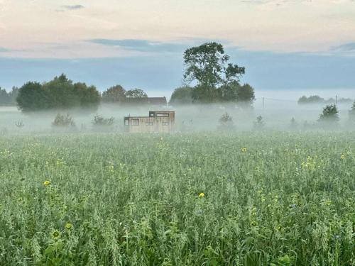 Chievres House | Tiny House du Gad Bourgeois