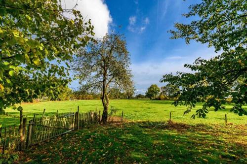 Winterswijk - Corle House | Tinyhouse De Woord