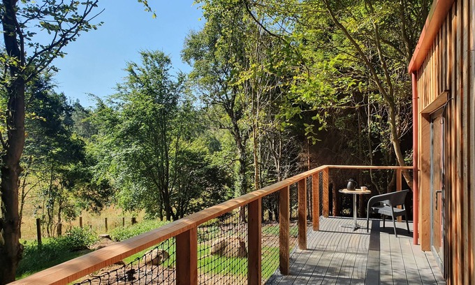 Alloa Cottage | Tods Bothy - a pod that sleeps 2 guests in 1 bedroom