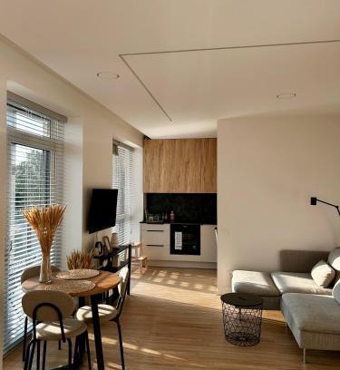 Klaipeda Apartment | Top of River Bastionai