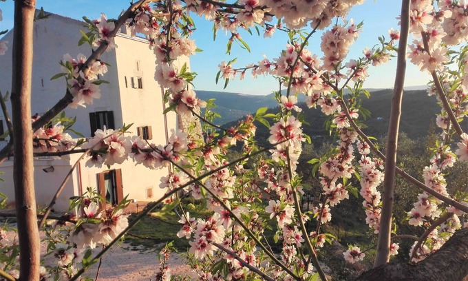 Carpino Other | Torre Bruno