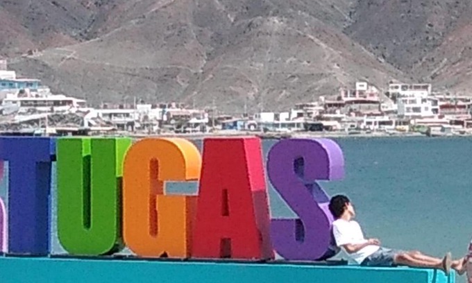 Tortuga House | TORTUGAS LA CASA DE JOAQUIN