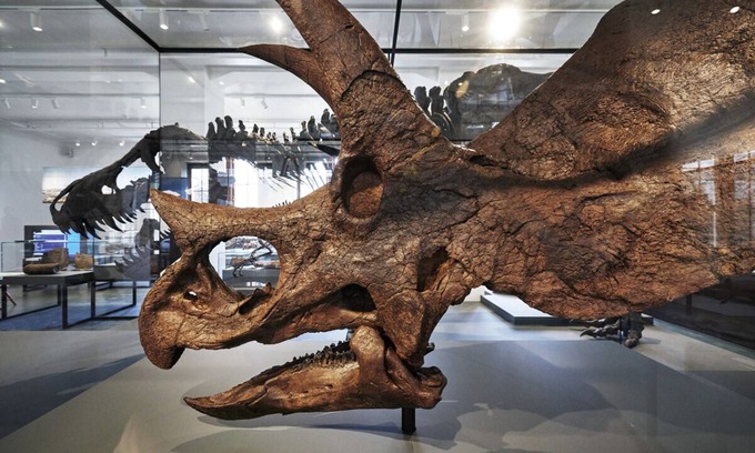 Erfoud Villa | Traditional-Spacious Villa, Arfoud.