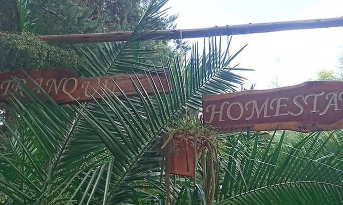 Naro Moru Hotel | Tranquil Homestay