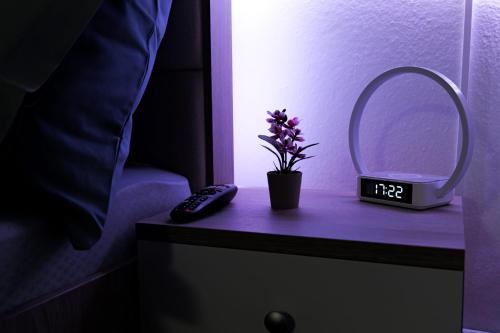 Three Oaks Apartment | Transylvanian Hideaway Apartment