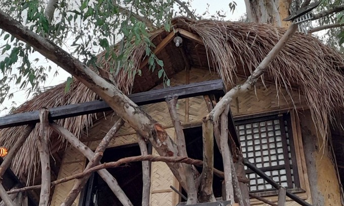 Castillejos Apartment | Traveler's Treehouse near Mapanuepe Lake