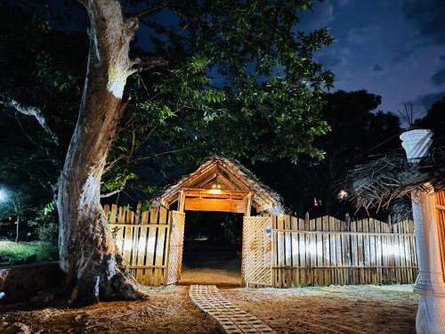 Pottuvil Division 2 Cabin | TravelLodge Eco