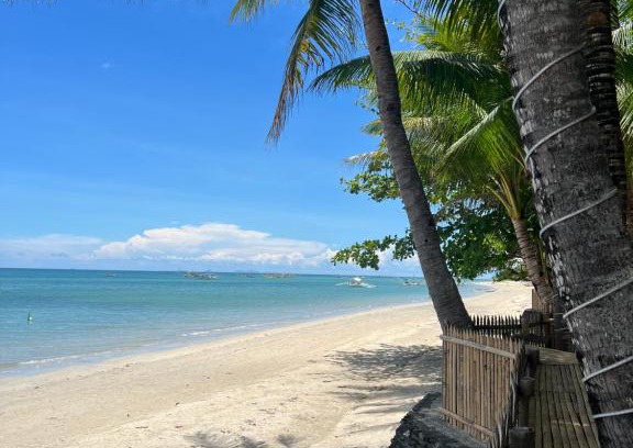 Carles House | Treasure Beach Resort