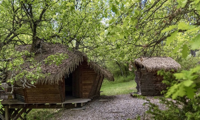 Sigonce Cabin | Tree House-Ensuite with Shower-Cabane dans l'arbre