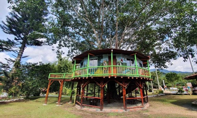 Pereira House | Tree House Finca La Floresta Verde