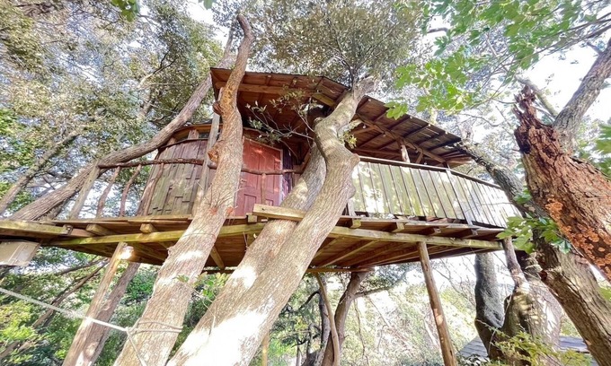 Otaki RV Rental | Tree House/Isumi County Chiba