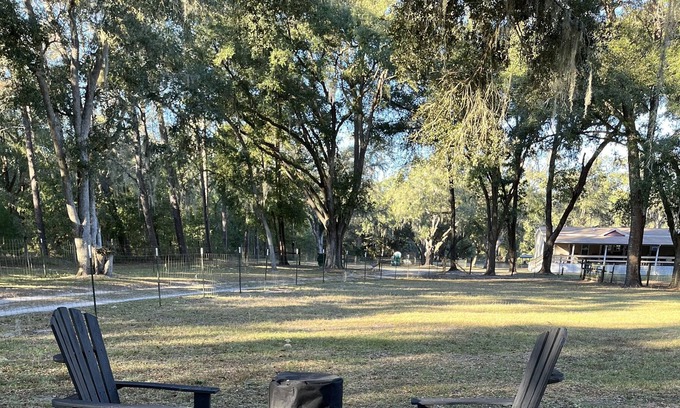 Dunnellon Cottage | TREE HOUSE! OFF THE GRID STAY! 10 minutes to Rainbow River 20 minutes to WEC