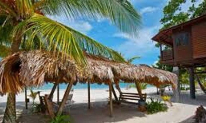 Lubok Buaya House | Treehouse Beachfront(small) Cenang Beach Langkawi