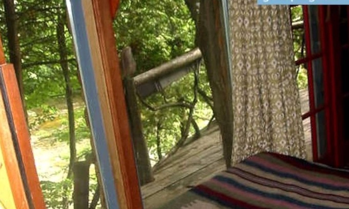 Lanark House | Treehouse perched on the water’s edge