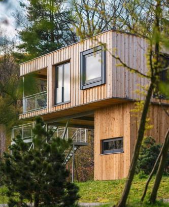 Ilsenburg House | Treetop Loft In Harz National Park