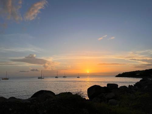 Riviere-Sens Apartment | Tropical Golden appart, vue mer et plage à 5 min à pied