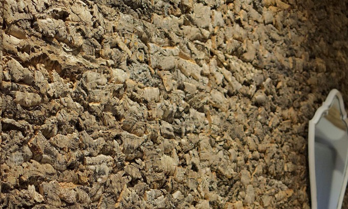 Florennes Ski Chalet | Trou des cloches with Jacuzzi and private ponds