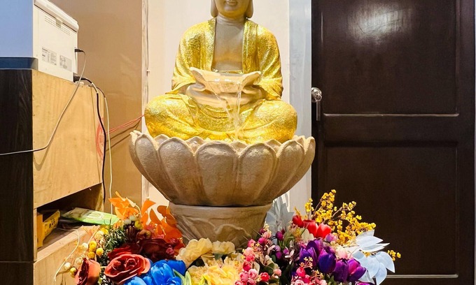 Shivanandi Hotel | Tulip Resort