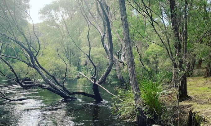 Peerabeelup House | Two-Bedroom Chalet with Private Jetty - Heron Pemberton