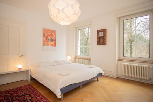 Basel Apartment | Two Floor Apartment with Garden & BaselCard
