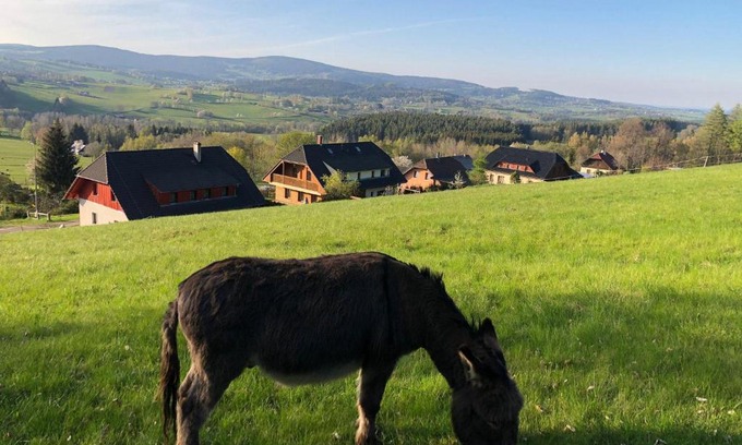 Masakova Lhota House | U Oslíka