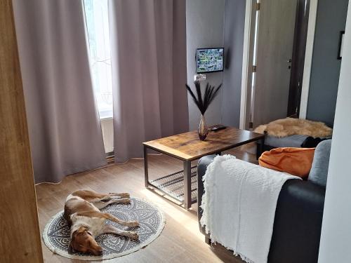 Lanzhot Apartment | Ubytování Na Peci Lanžhot