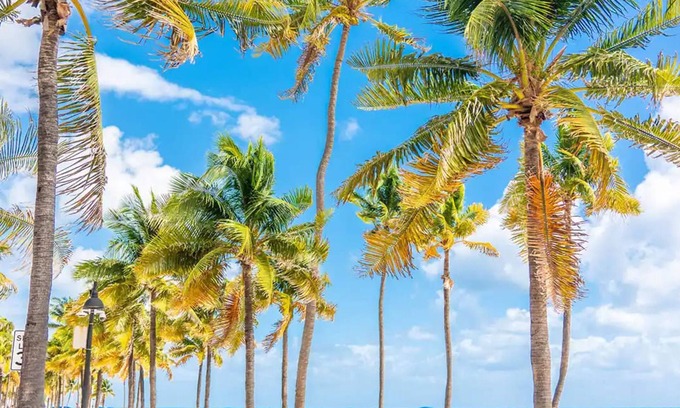 Downtown Fort Lauderdale Apartment | Uhost AI 1B Retreat Fully Equipped w Patio