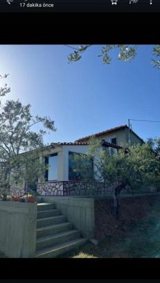 Alexandroupoli House | Ulivi e Mare