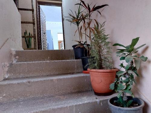 Shibin al Kawm Apartment | Unique apartment