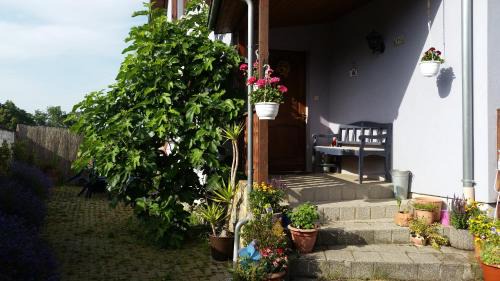 Artolsheim Apartment | Urlaub im Elsass