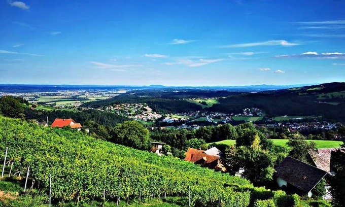 Krottendorf-Gaisfeld House | Urlaub in den Weinbergen