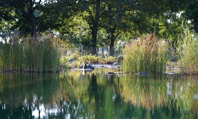 Schortens Apartment | Vacation apartment/apartment for 4 guests with 67m² in Schortens (162436)