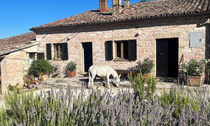 Furlo Apartment | Vacation apartment in the middle of paradise, on Monte Paganuccio/Marche. Nature and tranquillity.