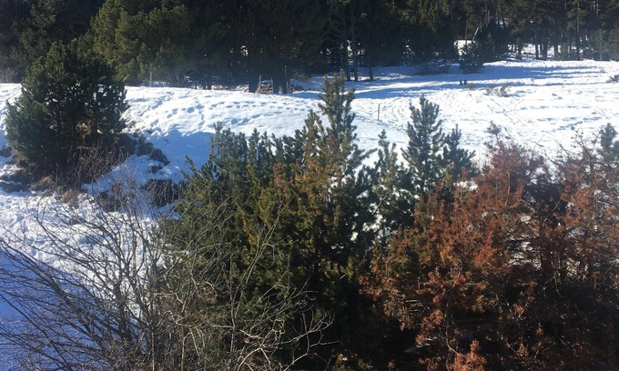 Les Angles Apartment | VERY NICE APARTMENT