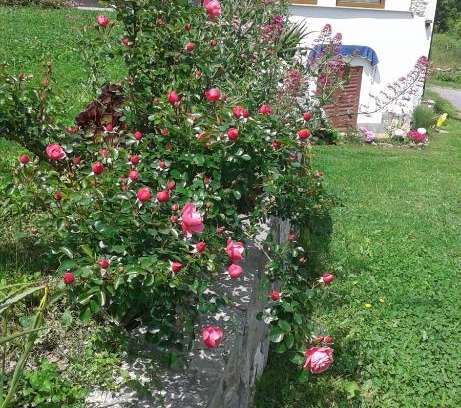 Diano San Pietro Apartment | Via Molini 3 km zum Strand priv. Parkplatz