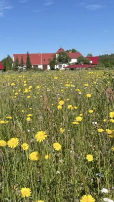 Aluksne Municipality House | Viesu māja Bitītes
