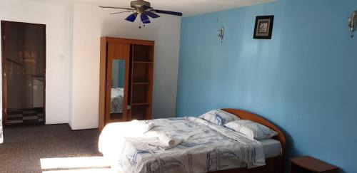 Campulung Moldovenesc Villa | Vila Cody