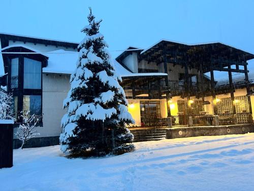 Toplita House | Vila TeoNa