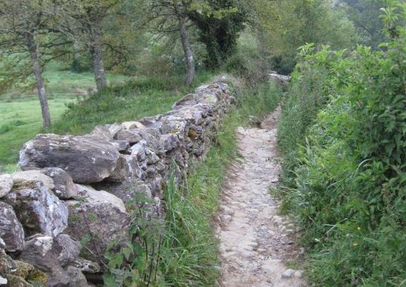 Rosmalen Apartment | Villa Berk en Heide