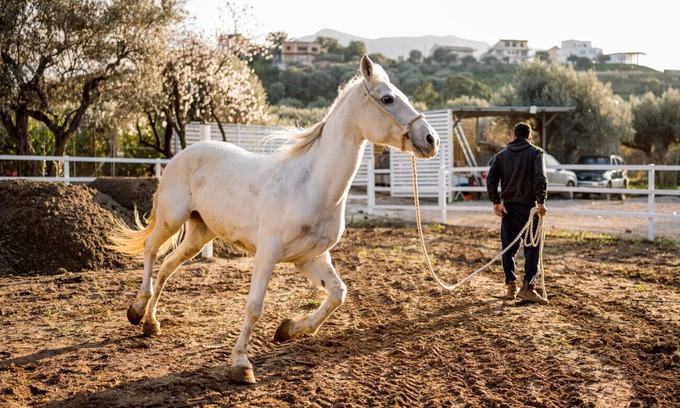 Acquedolci Apartment | Villa Chiara- Homy Sicily - Dèpendance Oasi
